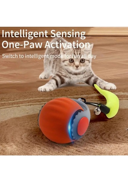 Luxury Mavi USB Şarj Edilebilir Kedi Köpek Kendinden Hareketli 360 Derece Dönen Kuyruklu Akıllı Oyun Topu 1 Adet
