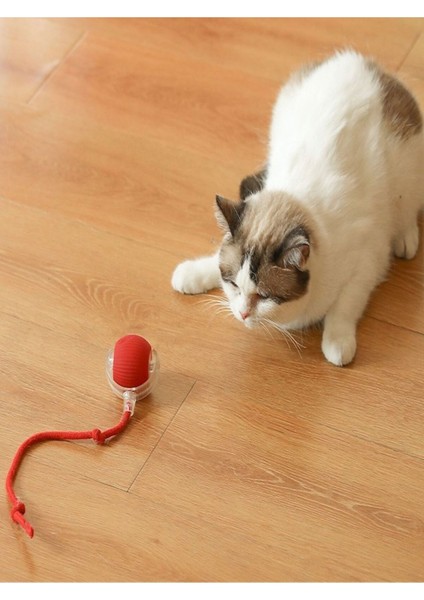 Luxury Otomatik Hareketli Kedi Oyuncağı 1 Adet