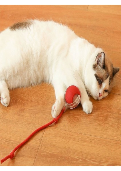 Luxury Otomatik Hareketli Kedi Oyuncağı 1 Adet