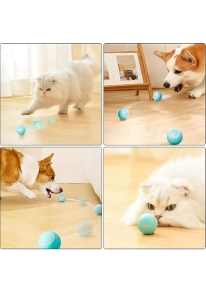 Luxury Petkit Interaktif Kedi Köpek Şarjlı Oyun Topu 1 Adet