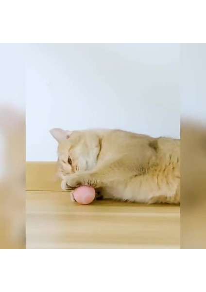 Luxury Şarjlı Otomatik Hareketlenen Kedi Oyun Topu Interaktif 360 Derece Dönen Kedi Oyuncağı Eğitim Topu 1 Adet