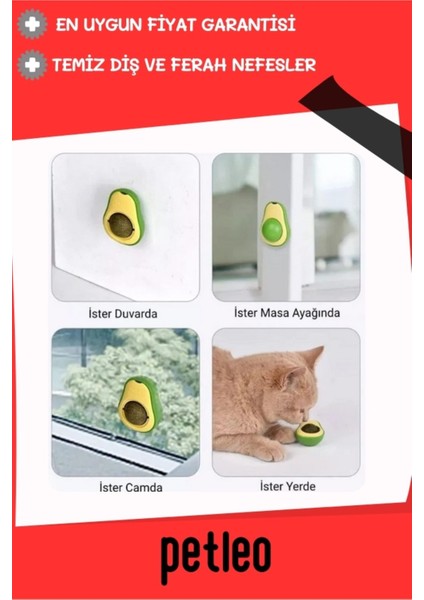 Luxury Catnip Avokado Kedi Çimi Kedi Oyuncağı Yalama Topu Doğal Kedi Nanesi 1 Adet modelleri