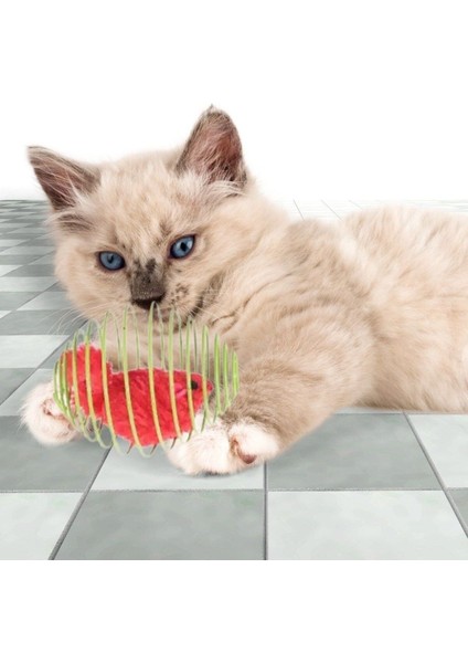 Luxury Buffer® Yaylı Metal Fareli Kafes Kedi Oyun Topu Sıçrayan Spiral Kedi Topu 1 Adet