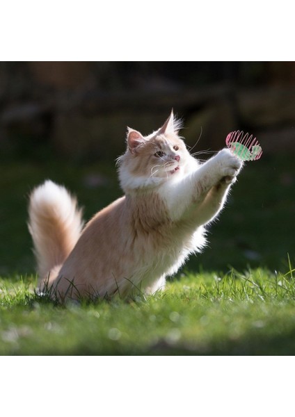 Luxury Buffer® Yaylı Metal Fareli Kafes Kedi Oyun Topu Sıçrayan Spiral Kedi Topu 1 Adet