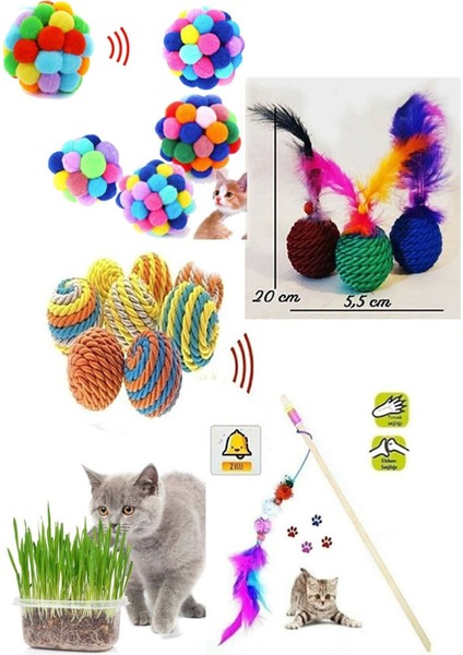 Luxury 5' Li Kedi Oyuncağı Set: Kedi Oltası Kedi Çimi Pon Pon Top Sesli Tüylü Top 1 Adet