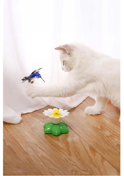 Luxury Hareketli Kedi Oyuncağı Dönen Kuş Başlıklı ( Pille Çalışır) 1 Adet