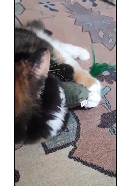 Luxury Mino Sesli, Tüylü, Eğlenceli, Kumaş Kedi Oyuncağı Matatabili (Kedi Nanesi/otu Içermez) 1 Adet fiyatları