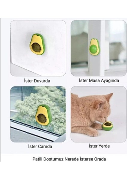 Luxury Avokado Catnip Avokado Kedi Otu Topu Avokado Kedi Nanesi Oyuncağı 1 Adet