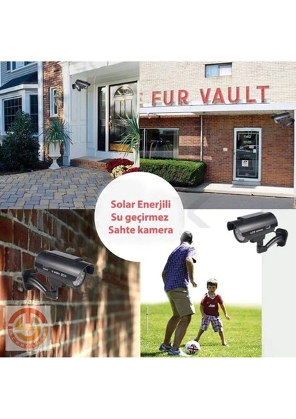 Luxury Avakado Kedi Nanesi Cat Mint Oyun Topu 1 Adet