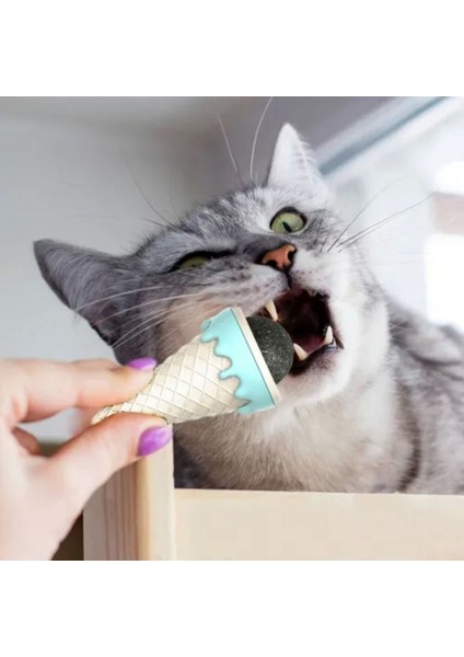 Luxury Dondurma Şeklinde Kedi Otu Nanesi 1 Adet