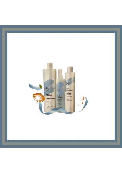 Daily Shp-Daily COND.300ML-DAILY Detangler 250ML Set