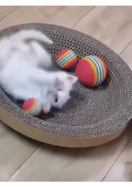 Luxury Sünger Kedi Köpek Çiğneme Oyun Topu 4,2 cm Diş Çıkarma Interaktif Oyuncak 4 Adet 1 Adet
