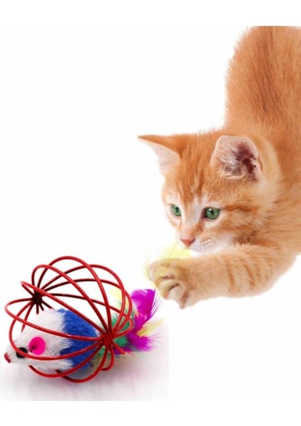 Luxury Ans Tel Top Fareli Kedi Oyuncak 1 Adet
