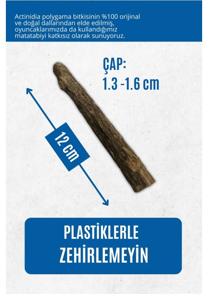 Luxury Matatabi - Stick (Kalın - 3'lü) Diş Temizlemeye ve Gidermeye Yardımcı Doğal Oyuncak 1 Adet modelleri