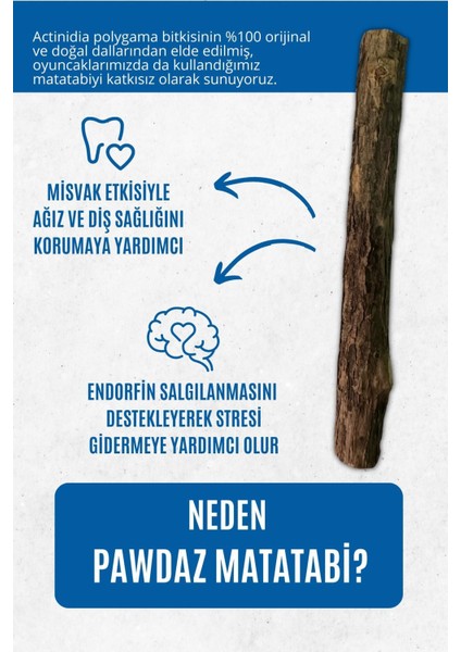 Luxury Matatabi - Stick (Kalın - 3'lü) Diş Temizlemeye ve Gidermeye Yardımcı Doğal Oyuncak 1 Adet fırsatları