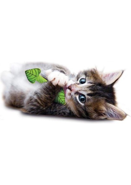 Luxury Fresh Breath Mint Stick Kedi Oyuncağı 1 Adet