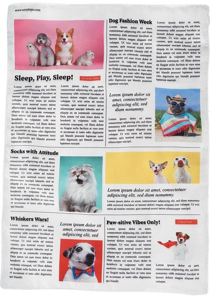 Luxury The Daily News Hışırtılı Sayfa 1 Adet