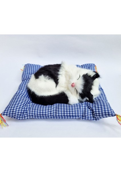 Luxury En Pratik Kedi Köpek Sağlık ve Temizlik Ürünleri Petshop Toplu Ürünler Standı 1 Adet