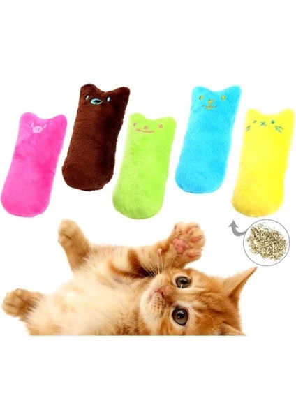 Luxury Kedi Otu Dolgulu Renkli Peluş Oyuncak 1 Adet