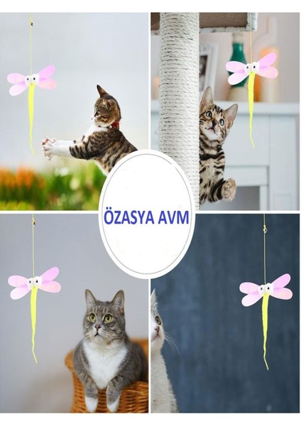 Luxury Kelebek Desenli Elastik Kendinden Yapışkanlı Kedi Oyun Oltası 1 Adet