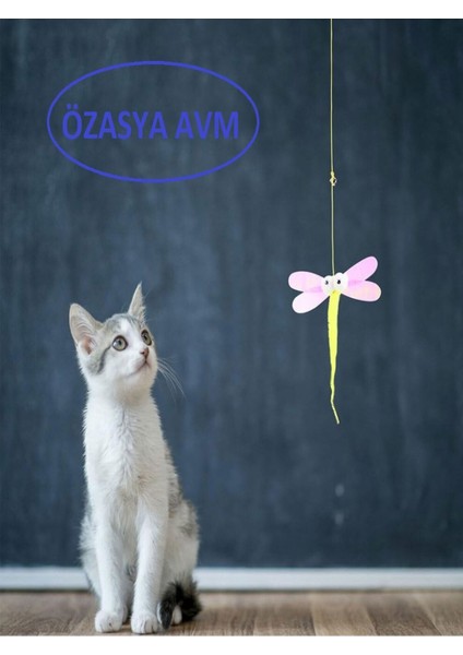 Luxury Kelebek Desenli Elastik Kendinden Yapışkanlı Kedi Oyun Oltası 1 Adet