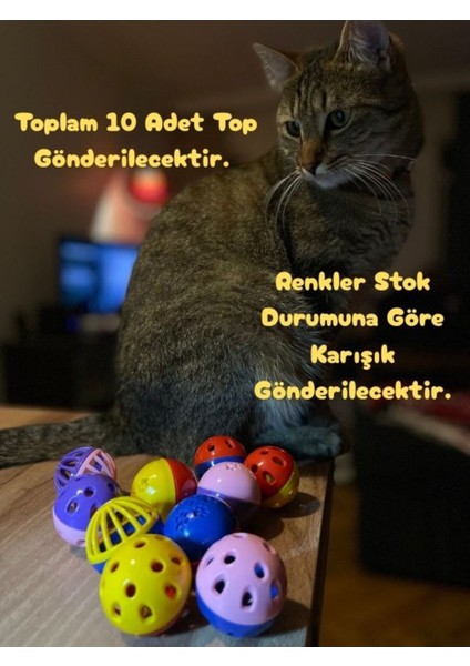 Luxury 10'lu Zilli Oyun Topu Seti - Kedi Kopek Kuş Oyuncağı 1 Adet