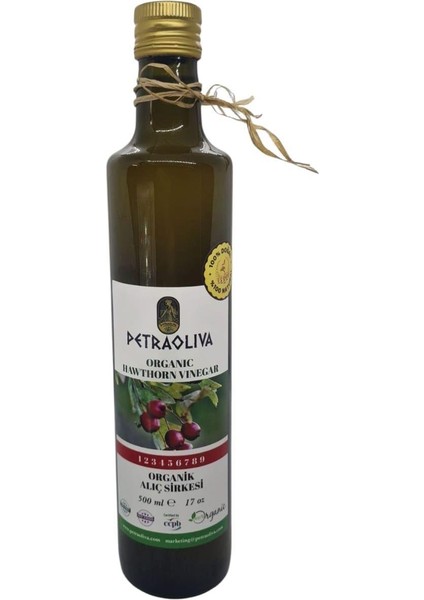 Organik Alıç ve Doğal Enginar Sirkesi 2 Adet x 500ML