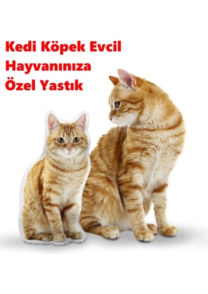 Luxury Kedi Köpek Evcil Hayvanınıza Özel Yastık - Kişiye Özel 1 Adet