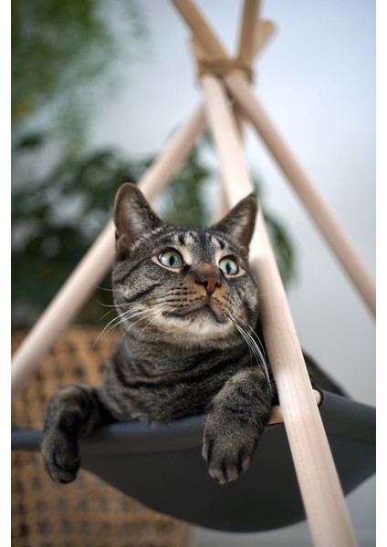 Luxury Kedi Evi ,kedi Barınağı,kedi Yatağı 1 Adet fiyatları