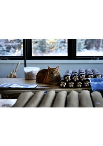 Luxury Kedi Evi ,kedi Barınağı,kedi Yatağı 1 Adet modelleri
