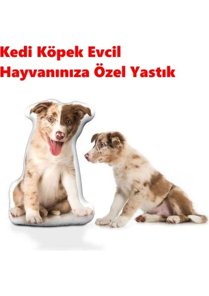 Luxury Kedi Köpek Evcil Hayvanınıza Özel Yastık - Kişiye Özel 1 Adet fiyatları