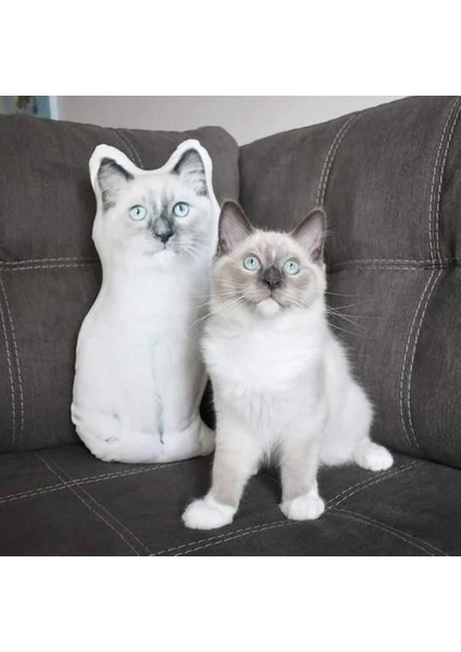 Luxury Kedi Köpek Evcil Hayvanınıza Özel Yastık - Kişiye Özel 1 Adet indirimleri