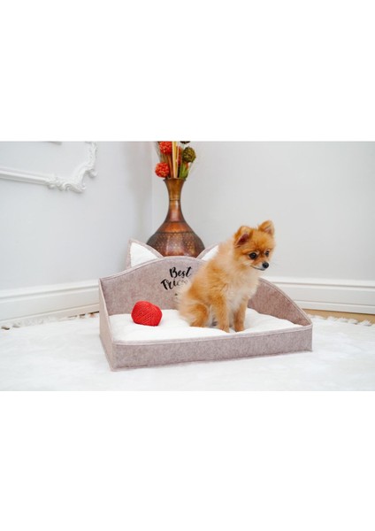 Luxury Evcil Hayvan Kedi Köpek Yatağı 50 x 38 x 15 Best Friends 1 Adet fiyatları