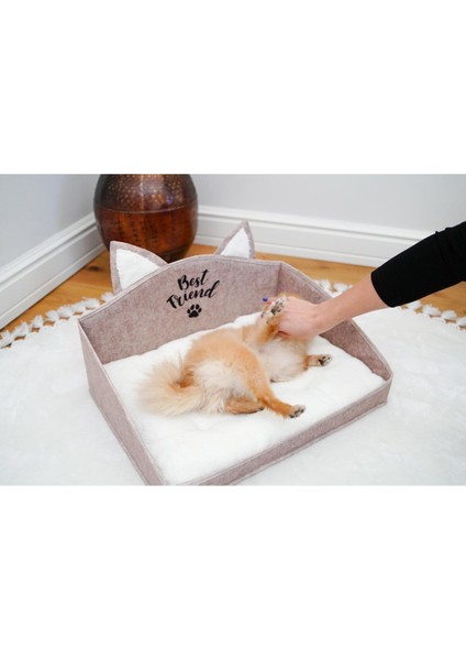 Luxury Evcil Hayvan Kedi Köpek Yatağı 50 x 38 x 15 Best Friends 1 Adet modelleri