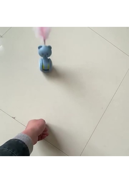 Luxury Kedi Oyun Arkadaşı Tekerlekli Hacıyatmaz Devrilmez Kedi Tüneli Kedi Yatağı Kedi Oyuncağı Pet Shop 1 Adet