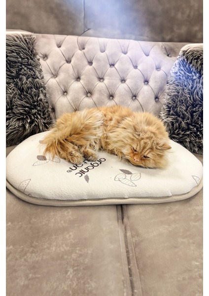 Luxury Yüksek Dansiteli Organik Pamuk Dokulu Kedi & Köpek Yatağı, Minderi, Matı 70X50 cm 1 Adet