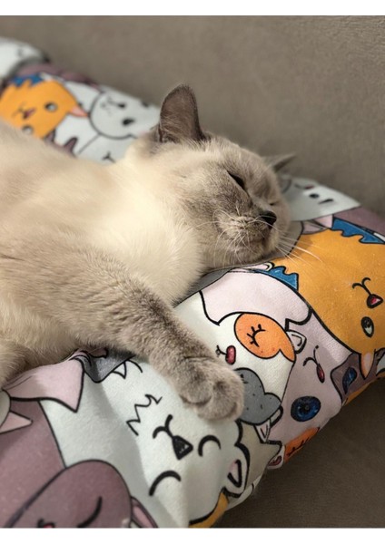 Luxury Coddry Kedi Yatak Minderi Kedi Desenli 42X55 1 Adet