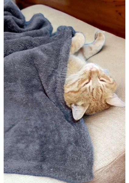 Luxury Paw Wellsoft Kedi Köpek Battaniyesi 100X100 cm Antrasit 1 Adet