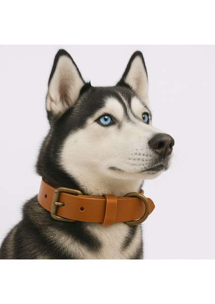 Luxury Kişiye Özel Köpek Isimli Boyun Tasması, Hakiki Vejetal Deri, Dayanıklı Malzeme, Paslanmaz Çelik 1 Adet modelleri