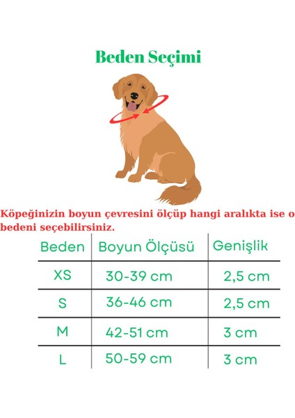 Luxury Kişiye Özel Köpek Isimli Boyun Tasması, Hakiki Vejetal Deri, Dayanıklı Malzeme, Paslanmaz Çelik 1 Adet indirimleri