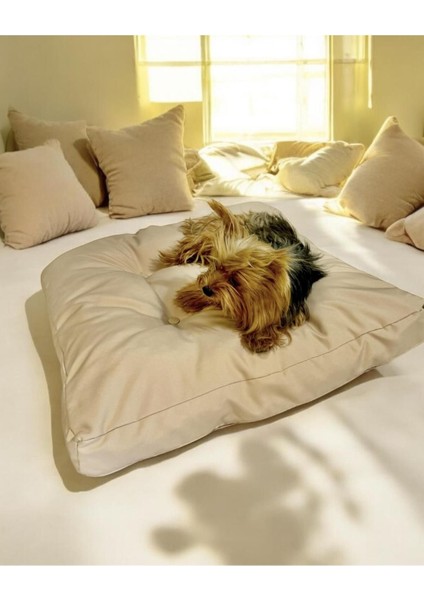 Luxury Mini Beige Kedi Köpek Minderi 65 x 65 cm 1 Adet fiyatları