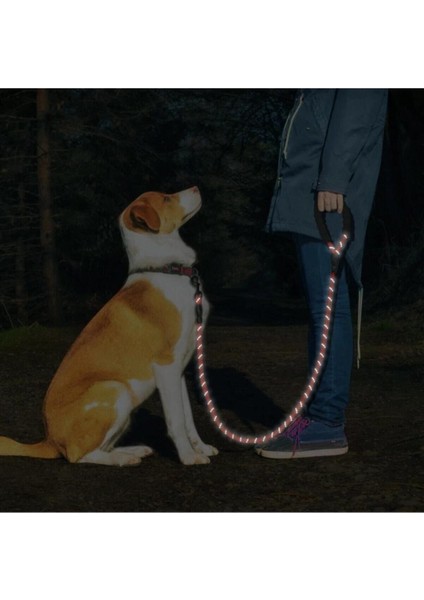 Luxury Köpekler Için Gezdirme Tasması Reflektörlü 130 cm Halat Orta ve Büyük Boy Köpekler Için 1 Adet