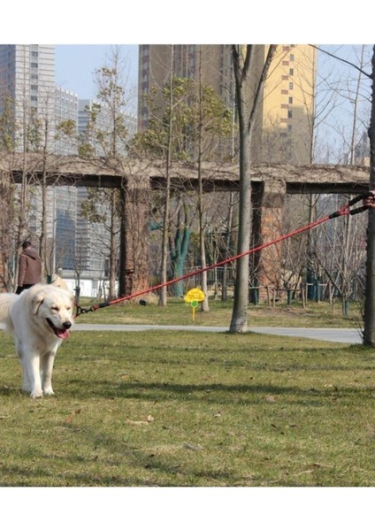 Luxury Köpekler Için Gezdirme Tasması Reflektörlü 130 cm Halat Orta ve Büyük Boy Köpekler Için 1 Adet