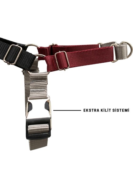 Luxury Drago Easy Walk Önden Çekmeli Göğüs Tasması 1 Adet
