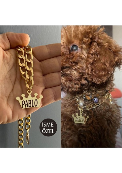 Luxury Isimli Köpek Tasması Köpek Isimlik Künye Zincir Paslanmaz 1 Adet