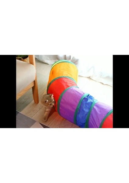 Luxury Kıvrımlı 125CM Kedi Tüneli Katlanır Gökkuşağı Köpek Oyun Tüneli Evcil Hayvan Oyun Tüneli Petshop 1 Adet fiyatları