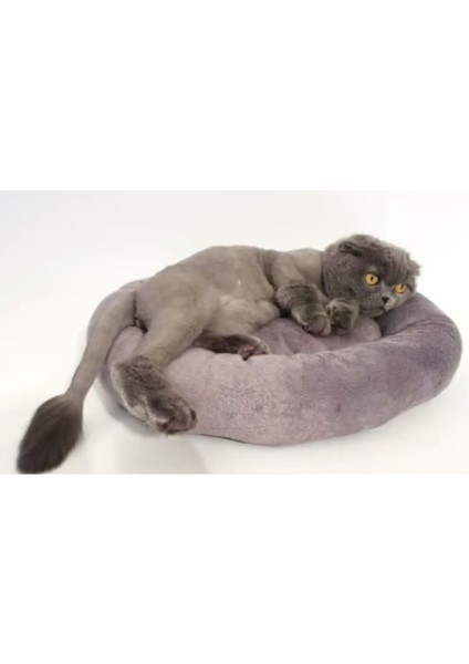 Luxury Kedi Köpek Yatağı 1 Adet
