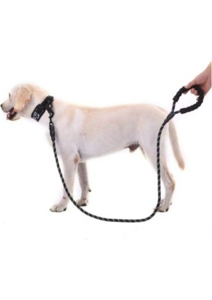 Luxury Reflektörlü Köpek Tasması 130 Cm. 1 Adet
