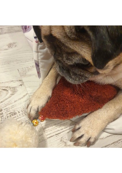 Luxury Köpek Kedi Yatak Seti 1 Adet