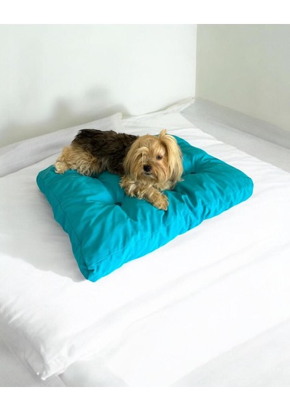 Luxury Pouchie Blue Kedi Köpek Minderi 60 x 55 cm 1 Adet
